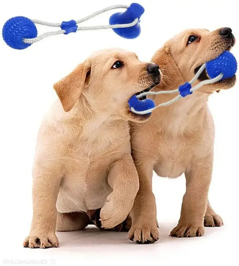 Suck'n Play Dental TPR Toy
