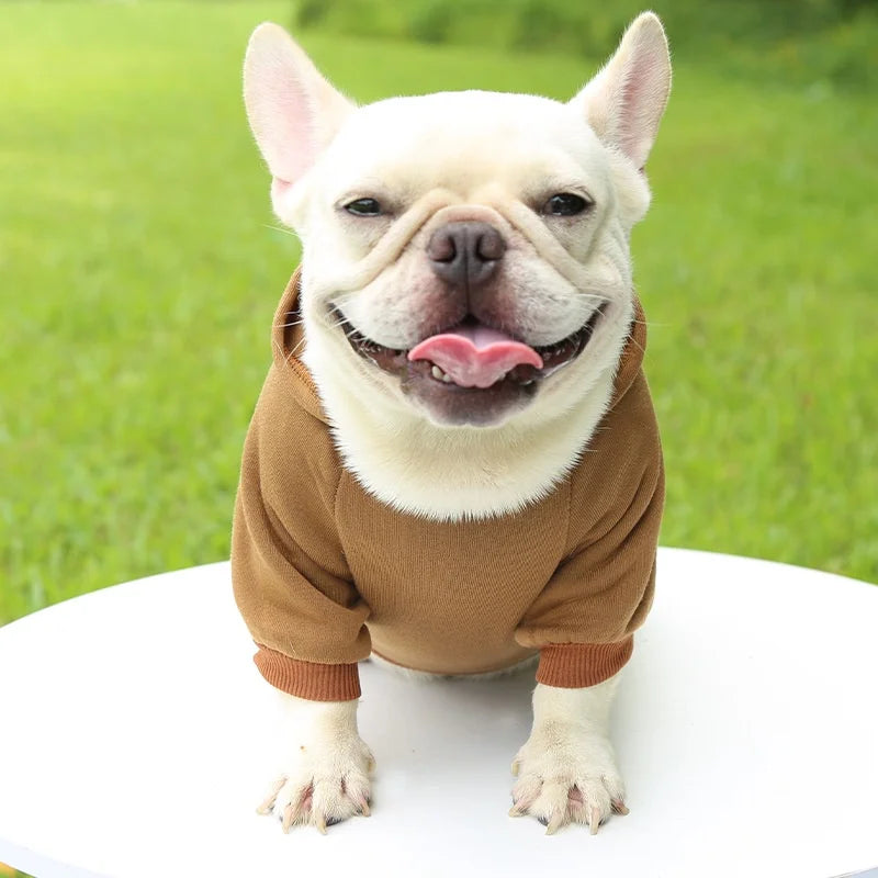 SnugPup Winter Hoodie Jacket