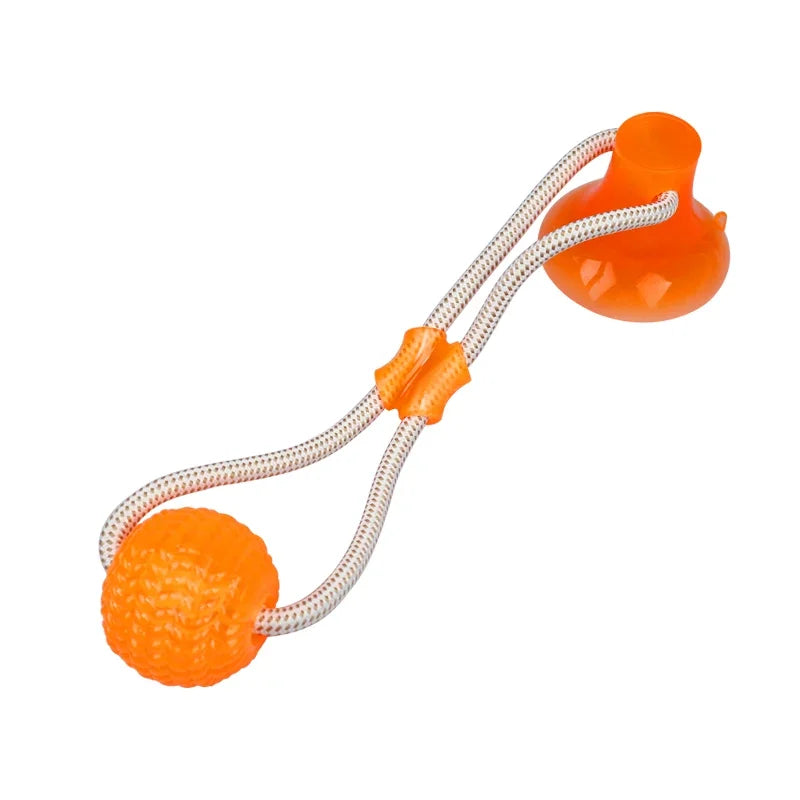 Suck'n Play Dental TPR Toy