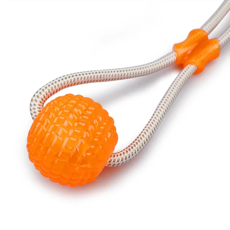 Suck'n Play Dental TPR Toy