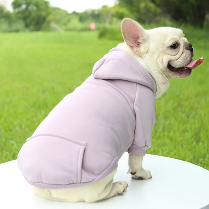 SnugPup Winter Hoodie Jacket