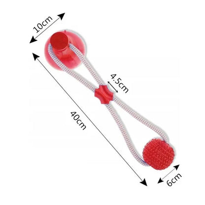 Suck'n Play Dental TPR Toy
