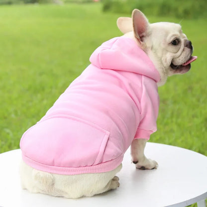 SnugPup Winter Hoodie Jacket