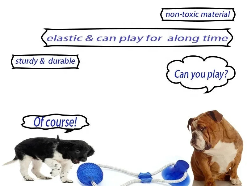 Suck'n Play Dental TPR Toy