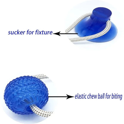 Suck'n Play Dental TPR Toy