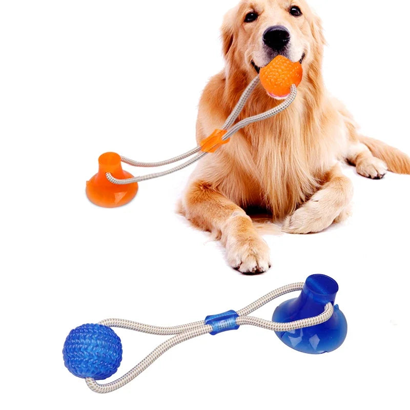 Suck'n Play Dental TPR Toy