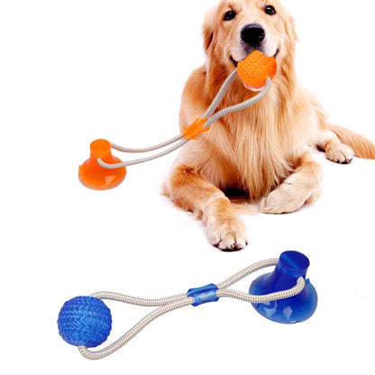 Suck'n Play Dental TPR Toy