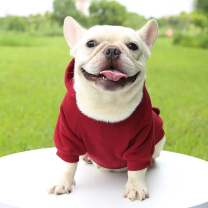 SnugPup Winter Hoodie Jacket