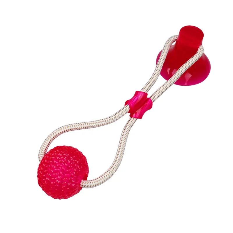 Suck'n Play Dental TPR Toy
