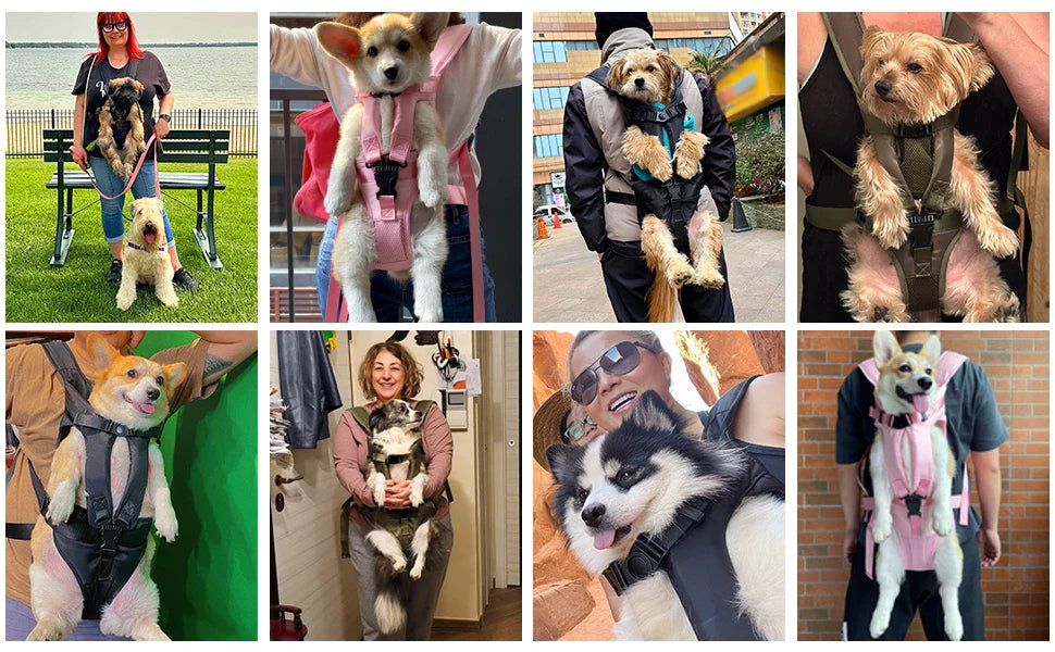 TrekPup Adventure Carrier Backpack