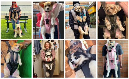 TrekPup Adventure Carrier Backpack