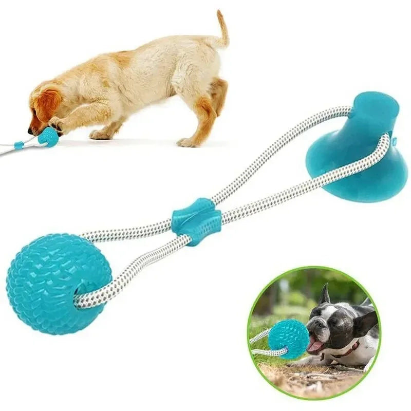 Suck'n Play Dental TPR Toy
