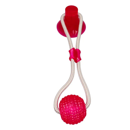 Suck'n Play Dental TPR Toy