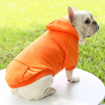 SnugPup Winter Hoodie Jacket