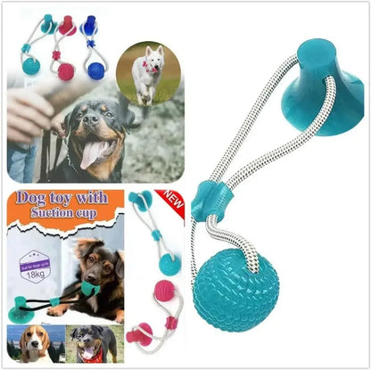 Suck'n Play Dental TPR Toy