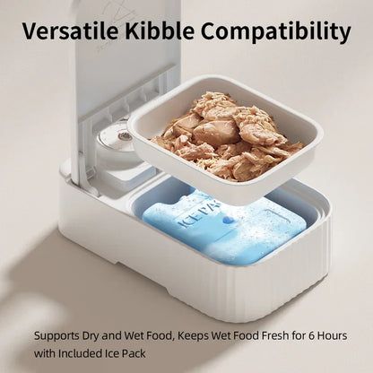 FreshPaws Timed Cooling Feeder