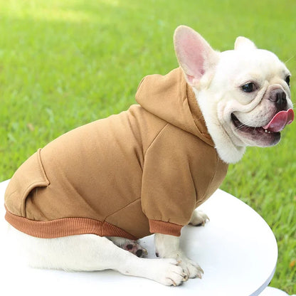 SnugPup Winter Hoodie Jacket