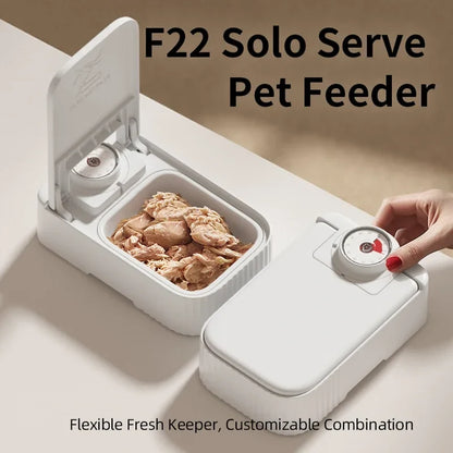 FreshPaws Timed Cooling Feeder