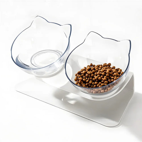 ElevaPaw Tilted Feeding Station