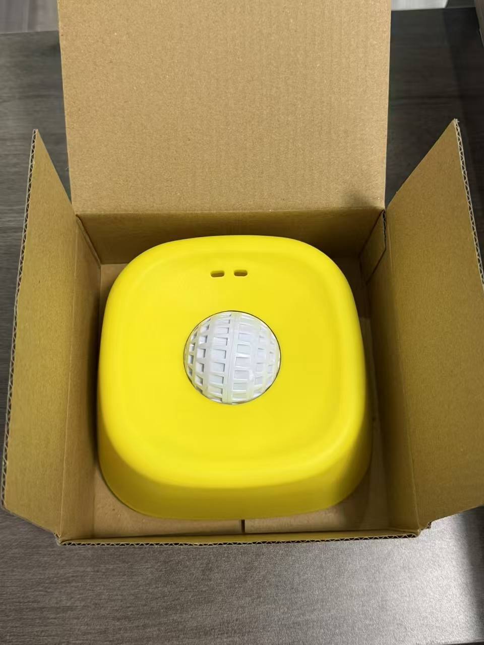 Pet Slow Food Bowl
